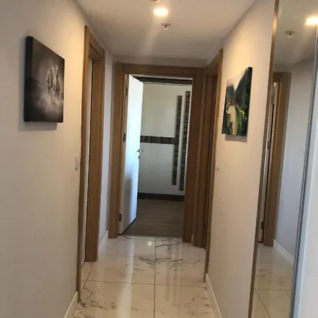 Comfortable Modern 5_star Apartment